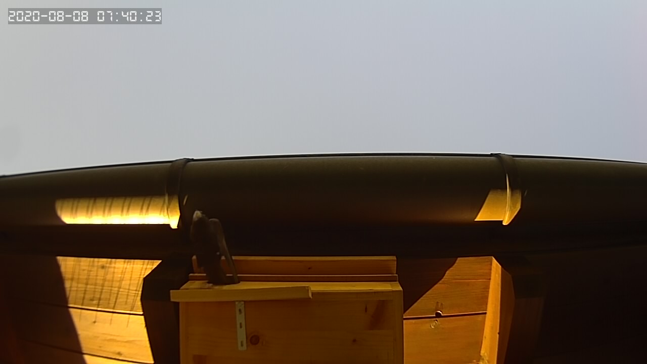 Elternvogel hat sich erst einmal allein ausgeschlafen