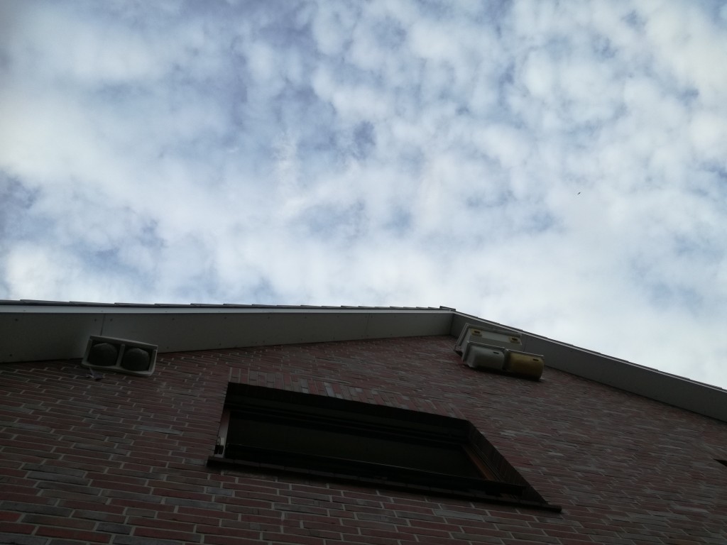 IMG_20200820_192616.jpg