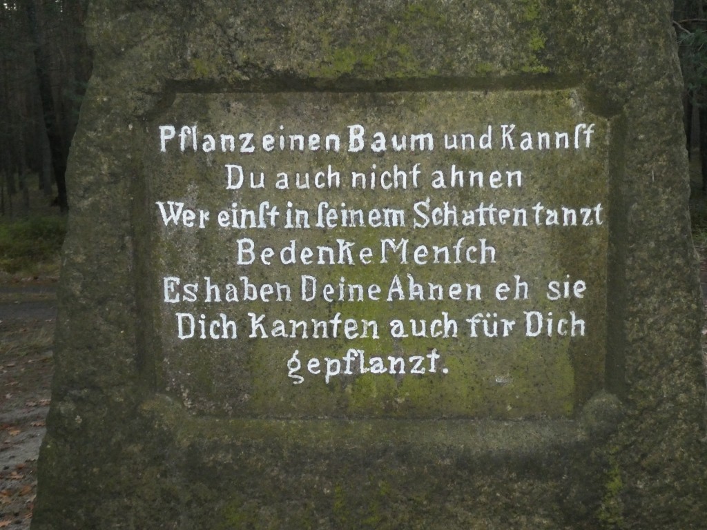 bildersammlung~462~bild9.JPG