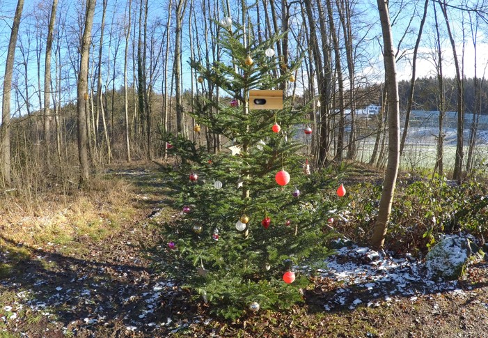 Weihnachten 2020.jpg