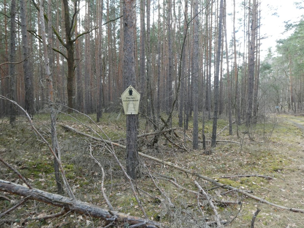 Natur.JPG